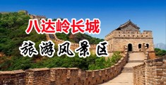 免费操逼网站网址中国北京-八达岭长城旅游风景区