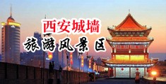 制服骚女被爆操中国陕西-西安城墙旅游风景区